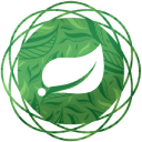 Spring Code Generator